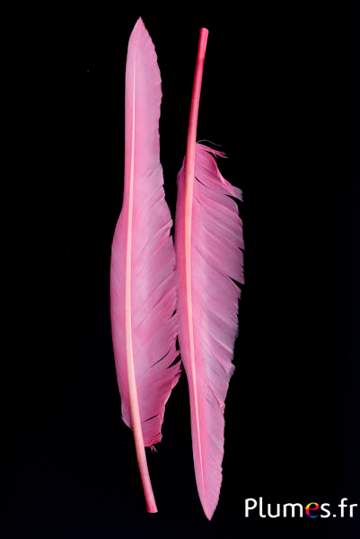 Cygne lame - 28-33 cm - rose 